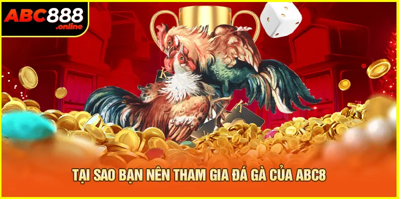 Tại sao bạn nên tham gia đá gà của Abc8